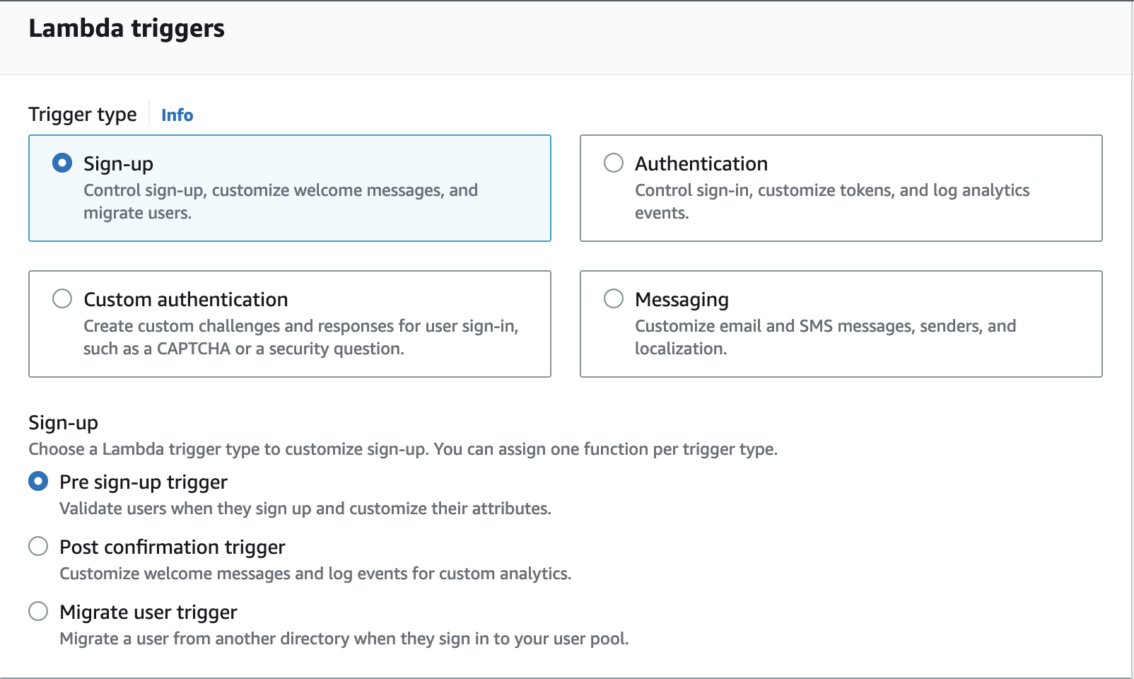Cognito Customization